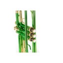 Tromba Sib Roy Benson TR 101E colore verde