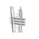 Tromba Sib Roy Benson TR 202S