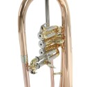Flicorno soprano Roy Benson FH302G