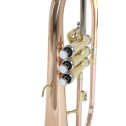 Flicorno soprano Roy Benson FH302G