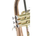 Flicorno soprano Roy Benson FH302G
