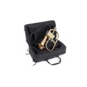 Custodia Flicorno soprano Roy Benson FH302G
