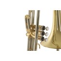 Trombone Bach a pistoni VT501