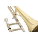 Trombone Tenore in Sib/Fa Vincent Bach TB503B