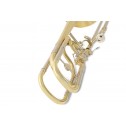 Trombone Basso Vincent Bach TB504 Sib/Fa/Solb/Re