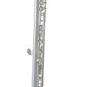 Flauto traverso Roy Benson FL-402R