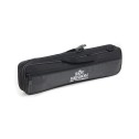 Custodia Flauto traverso Roy Benson FL-402R