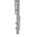 Flauto traverso Roy Benson FL-402E2