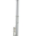 Flauto traverso Roy Benson FL-402E2