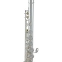 Flauto traverso Roy Benson FL-402E2