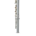 Flauto traverso Roy Benson FL-402E2