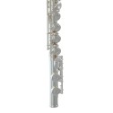 Flauto traverso Roy Benson FL-402E2
