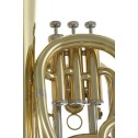 Flicorno Tenore in Sib Roy Benson BH-302