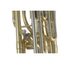 Flicorno Tenore in Sib Roy Benson BH-302