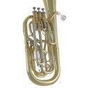 Flicorno Tenore in Sib Roy Benson BH-302