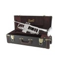 Custodia Tromba in Sib Vincent Bach "Anniversary" mod. 190S-43 argentata