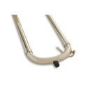 Trombone Tenore in Sib/Fa Vincent Bach TB502B