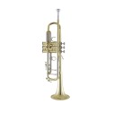 Tromba in Sib 18037 Stradivarius Vincent Bach laccata 