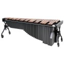 ARTIST MARIMBA ADAMS MAAP50 Robert Van Sice 