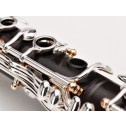 Clarinetto sib Buffet Crampon BCXXI
