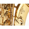 Sax alto Buffet Crampon mod. BC8101-1-0 