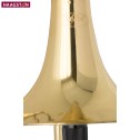 Trombone Haagston USATO