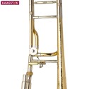 Trombone Haagston USATO