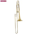 Trombone Haagston USATO
