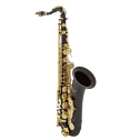 Sax tenore Elkhart 100TS