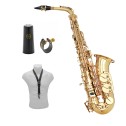 Sax Alto Grassi SAL700 BUNDLE Kit per studente