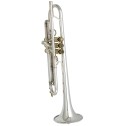 Tromba Sib Carol Brass mod CTR5260L-PSM USATA