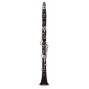 Clarinetto Selmer Privilege in La