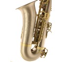 sax alto Omega OAS 2200BS