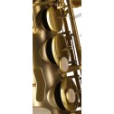 sax alto Omega OAS 2200BS