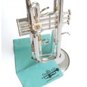 Panno Dm Brass per Lucidatura Strumenti Argentati