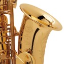 Sax alto Selmer SA80 II GG JUBILEE con bocchino con custodia