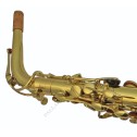 J.Will SA0102L Sax Alto laccato