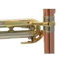 Flicorno soprano Adams F5