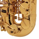 Sax alto Selmer SA80 II GG JUBILEE con bocchino con custodia