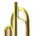 Tromba in Sib Challenger 3137 B&S laccata