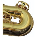 J.Will SA0102L Sax Alto laccato