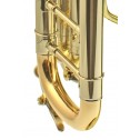 Tromba in Sib Challenger 3137 B&S laccata