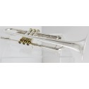 Tromba Sib Carol Brass mod CTR5260L-PSM USATA pezzo9