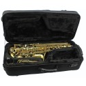 J.Will SA0102L Sax Alto laccato