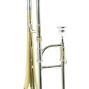 Trombone contralto Mib Roy Benson AT-201 Laccato 