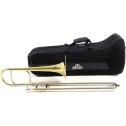 Trombone contralto Mib Roy Benson AT-201 Laccato 