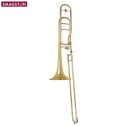 Trombone Haagston USATO