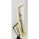 Sax alto Amati mod. AAS 31 USATO