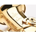 Sax alto Buffet Crampon Prodige BC8301-1-0GB 