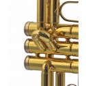 Tromba in Sib J.Will mod. TR 100L laccata